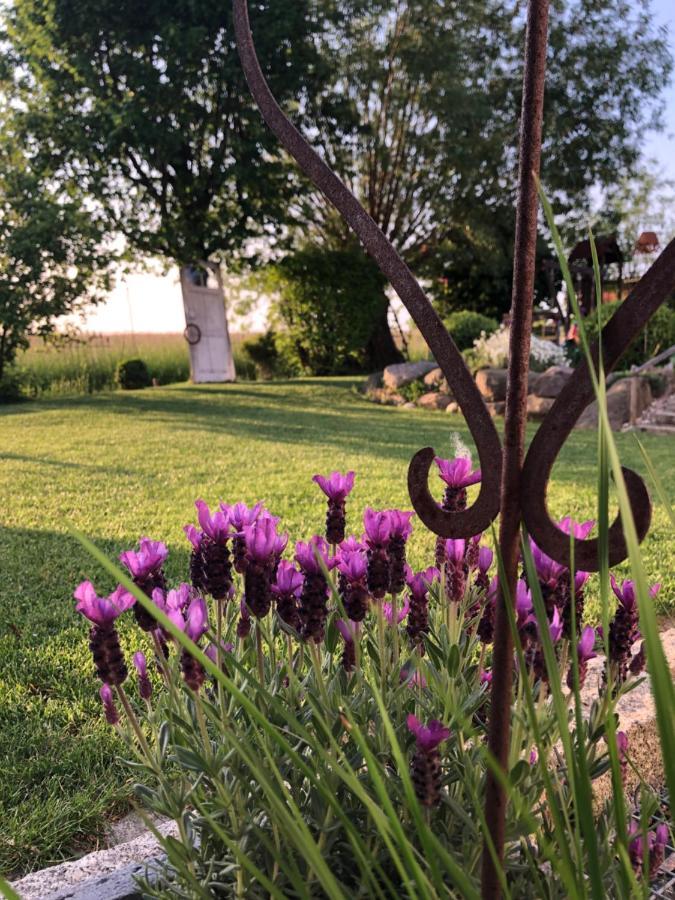 Ferienwohnung Thiergarten Mistelgau Dış mekan fotoğraf